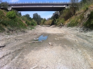 siccita-fiume-lamone-in-secca-faenza-ago2012-fonte-ivano-valmori-imageline-2