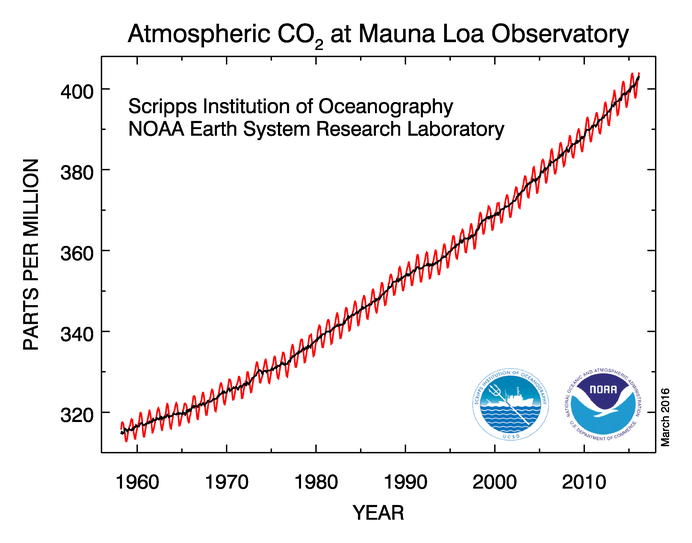 Andamento della CO2 a Mauna Loa, Hawaii, dal 1956 a oggi, fonte NOAA