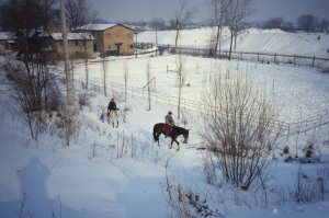 Casse d'espansione del fiume Secchia, febbraio 1991, foto Luca Lombroso