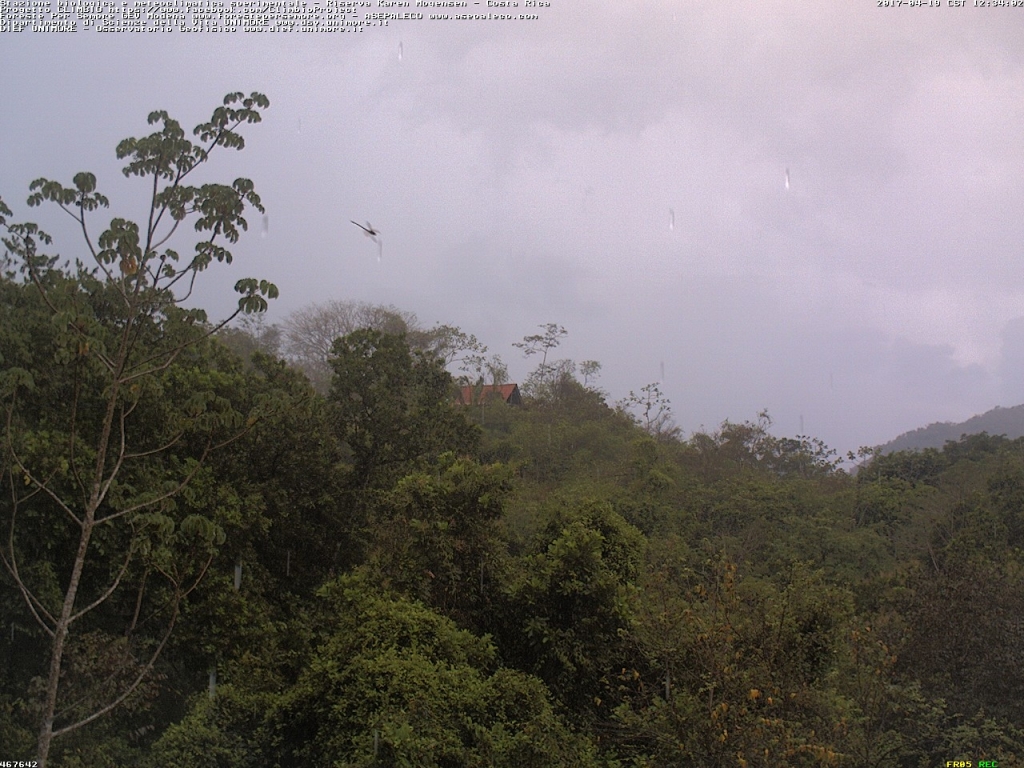 la pioggia colta dalla webcam Karen attorno alle 12:35, si nota anche un insetto sull'obiettivo. 